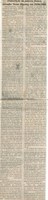 Transcrição da palavra franca, vereador Victor Bhering em 20/06/2006. Jornal Nova Gazeta, 24 jun. 2006, 418ª ed., p. 02.